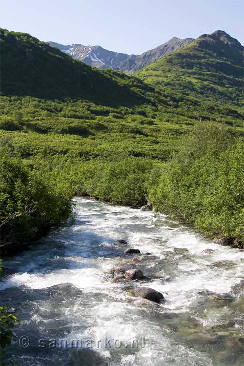 Archangel Creek bij Hatcher Pass in Alaska