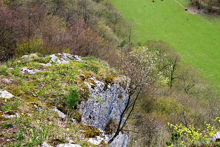Het uitkijkpunt, een steile rotswand bij Han-sur-Lesse