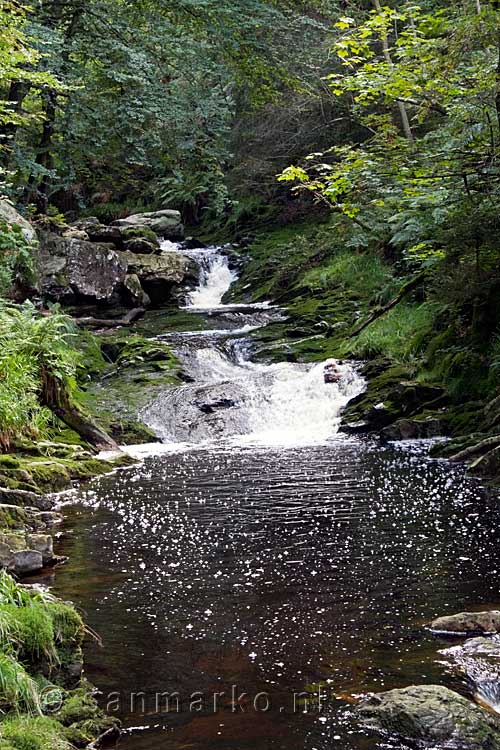 Nog meer watervallen in de La Hoëgne bij Hockay in de Ardennen