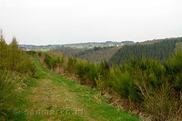Vanaf een leuk wandelpad een schitterend uitzicht over de Ardennen
