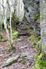 Een steil stuk wandelpad over rotsen op de Crêtes de Frahan bij Rochehaut