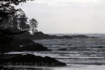 De grillige kust van de Pacific Rim NP op Vancouver Island in Canada