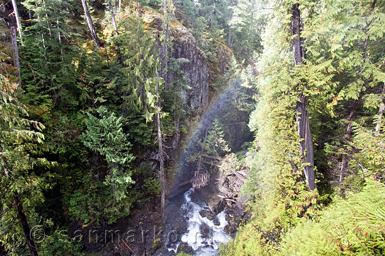 Een regenboog in de vallei gemaakt door de Lady Falls in Strathcona Provincial Park