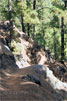Het wandelpad van Los Brecitos naar Playa de Taburiente - Wandelen in de Caldera de Taburiente - Los Brecitos - Barranco de las Angustias - La Palma