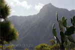 De Pico Bejanado op La Palma - Wandelen in de Caldera de Taburiente - Los Brecitos - Barranco de las Angustias - La Palma