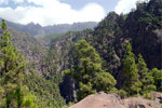 Uitzicht over de Caldera de Taburiente - Wandelen in de Caldera de Taburiente - Los Brecitos - Barranco de las Angustias - La Palma