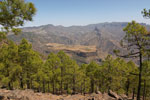 De Acusa vlakte met de Roque Bentaiga - Wandelen naar Altavista - Gran Canaria - Canarische Eilanden - Spanje
