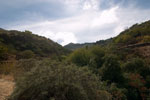 Door de bosjes terug naar Cruz de Tejeda - Wandelen vanuit Cruz de Tejeda door Barranco de Mina - Gran Canaria - Canarische Eilanden - Spanje
