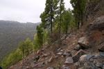 Hier loopt ergens het wandelpad - Wandelen bij Cruz Grande door Parque National de Pilancones - Gran Canaria - Canarische Eilanden - Spanje
