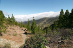 Wolken bij de Roque Nublo op Gran Canaria - Wandelen op Gran Canaria - Canarische Eilanden - Spanje
