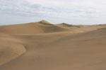 Lijkt wel de Sahara maar dan op Gran Canaria - De duinen van Maspalomas - Playa del Inglés - Gran Canaria - Canarische Eilanden - Spanje