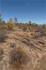 Veel platte stenen boven op Montaña de Tauro op Gran Canaria - Wandelen naar Montaña de Tauro - Gran Canaria - Canarische Eilanden - Spanje