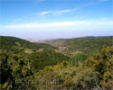 Uitzicht over La Gomera tijdens de wandeling naar Alto de Garajonay - Wandelen naar Alto de Garajonay - La Gomera - Canarische Eilanden - Spanje