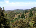 Uitzicht over de zuidkust van La Gomera in de Canarische Eilanden - Wandelen naar Alto de Garajonay - La Gomera - Canarische Eilanden - Spanje