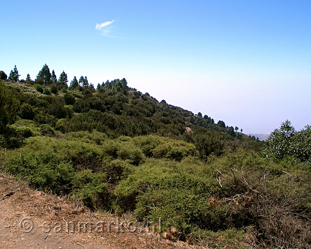 Weinig begroeiing meer voor schaduw tijdens het wandelen op La Gomera - Wandelen naar Alto de Garajonay - La Gomera - Canarische Eilanden - Spanje