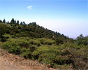 Weinig begroeiing meer voor schaduw tijdens het wandelen op La Gomera - Wandelen naar Alto de Garajonay - La Gomera - Canarische Eilanden - Spanje