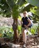 Bananenboom in Hermigua op La Gomera - Wandelen op La Gomera - Canarische Eilanden - Spanje