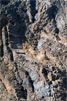 Gestold lava op La Palma - La Cumbrecita - Caldera de Taburiente - La Palma