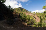 Het wandelpad naar het uitzichtspunt - La Cumbrecita - Caldera de Taburiente - La Palma
