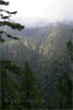 Bosque de los Tilos op La Palma - Wandelen van Casa del Monte naar Los Tilos - La Palma