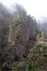 Steile rotswanden in Bosque de Los Tilos - Wandelen van Casa del Monte naar Los Tilos - La Palma