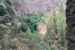 Bijna bij de watervallen Nacientes de Marcos op La Palma - Wandelen van Casa del Monte naar Los Tilos - La Palma