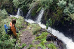Nacientes de Marcos bij Los Tilos - Wandelen van Casa del Monte naar Los Tilos - La Palma