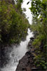 Nacientes de Marcos op La Palma - Wandelen van Casa del Monte naar Los Tilos - La Palma