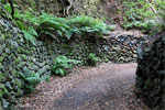 Verder over de 'gewone' weg richting Los Tilos - Wandelen van Casa del Monte naar Los Tilos - La Palma