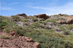 Het landschap rondom Roque de Los Muchachos - Wandelen bij Roque de los Muchachos - La Palma