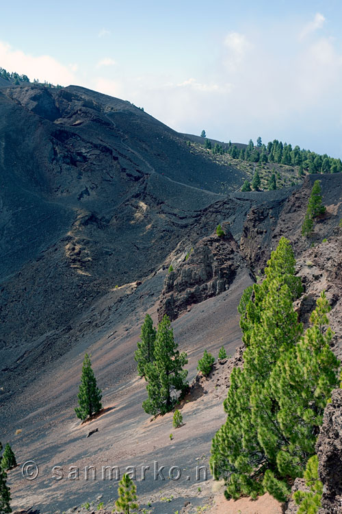 Wandelpad langs Montaña del Fraile - Wandelen over het noordelijk deel van de Ruta de los Volcanes - La Palma