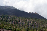 Montaña Negra op La Palma - Wandelen over het noordelijk deel van de Ruta de los Volcanes - La Palma