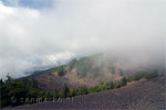 Terug naar Refugio el Pilar door de wolken - Wandelen over het noordelijk deel van de Ruta de los Volcanes - La Palma