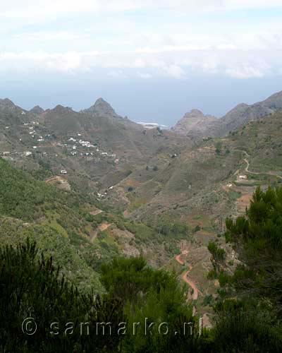 Afgelegen zijdal in Anaga op Tenerife - Wandelen op Tenerife - Canarische Eilanden - Spanje