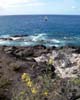 Aan de kust bij Puerto de Santiago op Tenerife - Wandelen op Tenerife - Canarische Eilanden - Spanje