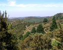 Uitzicht over de zuidkust van La Gomera vanaf Alto de Garajonay