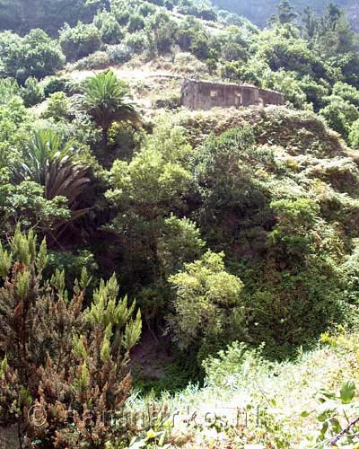 Verlaten huisje in het dal tijdens de wandeling van Hermigua naar El Cedro