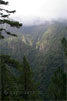 Uitzicht vanaf het wandelpad op Bosque de los Tilos op La Palma