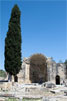 Cypres naast de basiliek in Gortys op Kreta