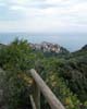 Corniglia, Cinque Terre, Toscane, Italië - Wandelen in Cinque Terre - de Bloemenrivièra - Toscane - Italië