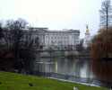 Buckingham Palace vanuit het park - Buckingham Palace - Londen - Engeland - UK