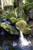 Grote rotsen zorgen voor een kleine waterval in de Haupeschbaach
