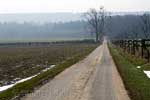 Een lange rechte weg door de weilanden tussen Larochette en Nommern in Luxemburg
