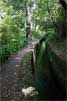 De groene Levada do Norte op Madeira - Wandelen bij Folhadal, Levada do Norte en Levada das Rabaças - Madeira - Portugal