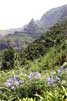 Uitzicht vanaf de Levada das Rabaças op Madeira - Wandelen bij Folhadal, Levada do Norte en Levada das Rabaças - Madeira - Portugal