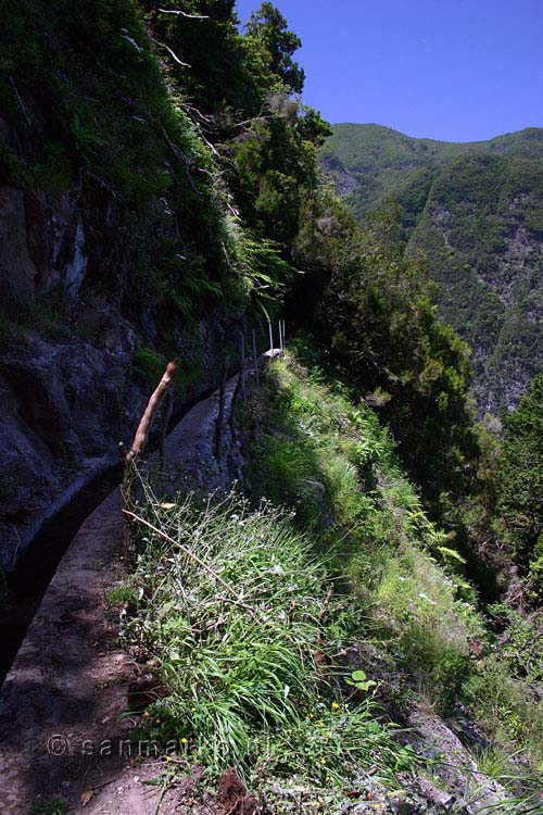 Uitzicht op de steile afgronden naast de levada op Madeira