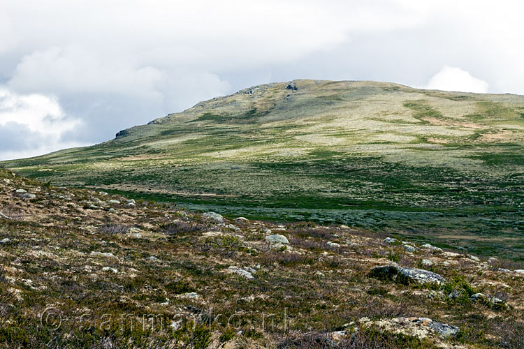 Schitterende bergen romdom Kongsvoll in Dovrefjell bij Dombås en Oppdal