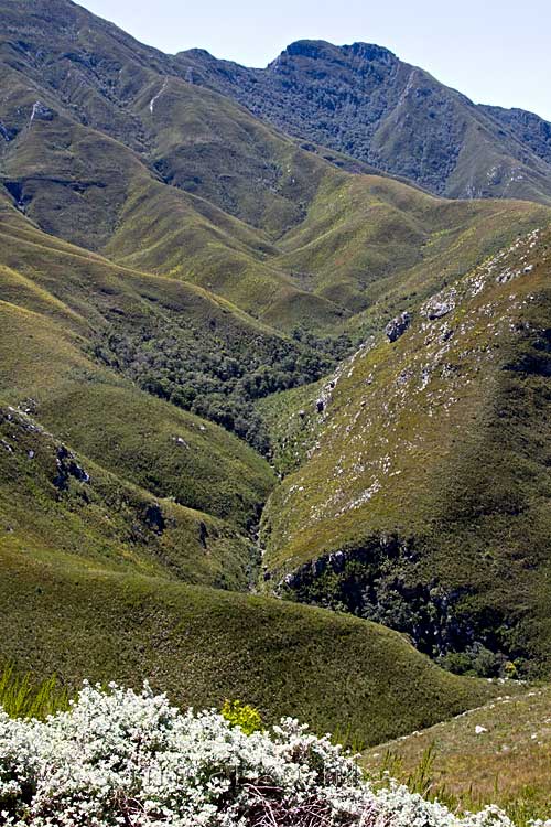 De mooie natuur van de Outeniqua pass in Zuid-Afrika