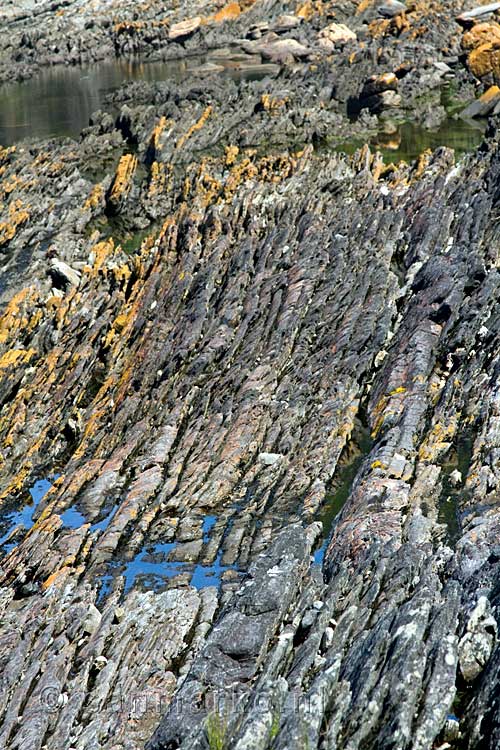 De grillige rotsen langs het Otter Trail in Tsitsikamma National Park