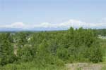 Mount McKinley of ook wel Denali gezien vanaf Talkeetna